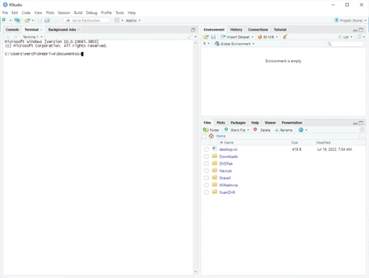 RStudio 2026.07.1 screenshot 1