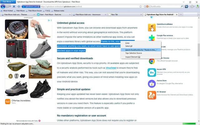 Pale Moon 34.3.2 (64-bit) screenshot 1