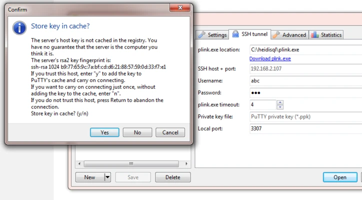 HeidiSQL 12.21.0.7344 screenshot 1