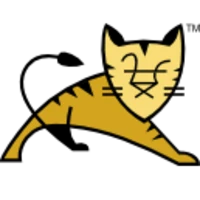 Apache Tomcat 11.0.25 icon