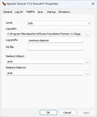 Apache Tomcat 11.0.25 screenshot 1