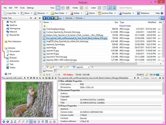 Directory Opus 13.25 screenshot 1
