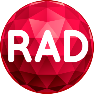 Embarcadero RAD Studio 13.1 icon