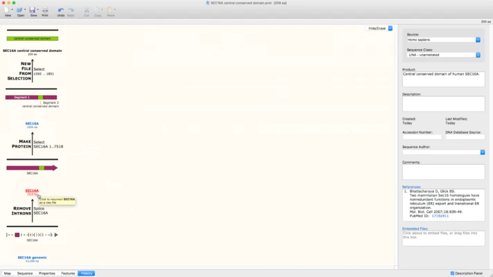 SnapGene 8.2.3 screenshot 1