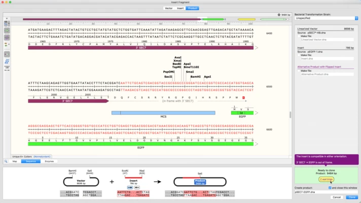 SnapGene 8.2.3 screenshot 1