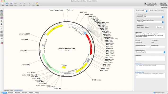 SnapGene 8.2.3 screenshot 1