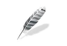 Wing IDE 101 12.0.3.0 icon