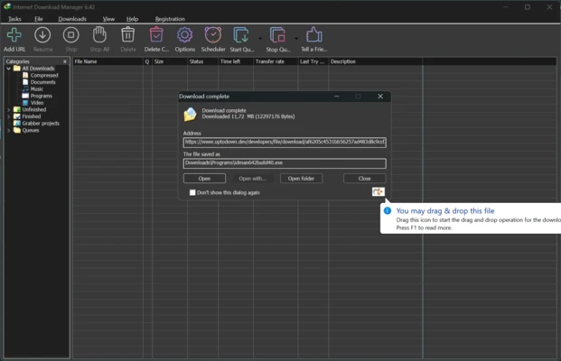 Internet Download Manager 6.43.12.1 screenshot 1