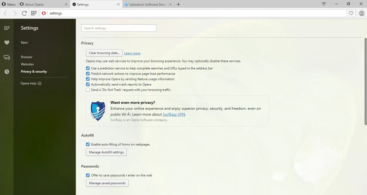 Opera Developer 138.0.6038.0 screenshot 1