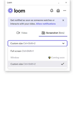 Loom 0.379.4 screenshot 1