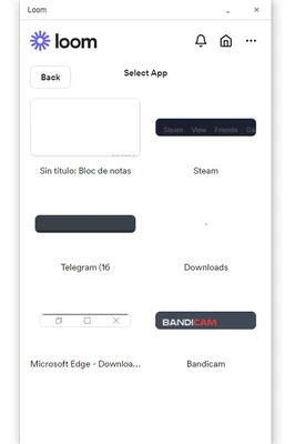 Loom 0.379.4 screenshot 1